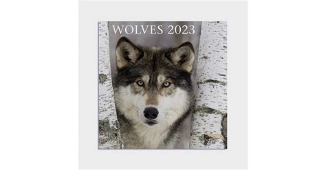 Wolves 2023 Wall Calendar By Dayspring