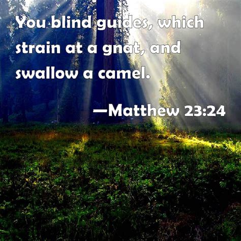 Matthew 2324 You Blind Guides Which Strain At A Gnat And Swallow A