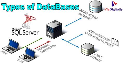 Types Of Databases In Sql Server System Databases Master Model Msdb