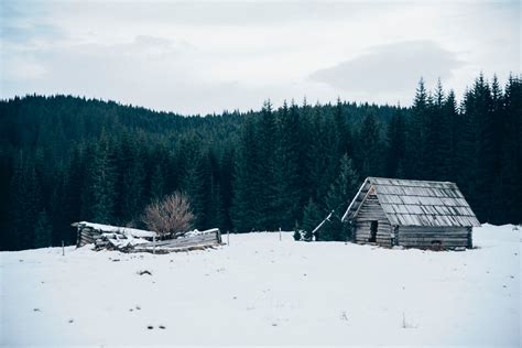 Wooden Cabin On Snow Covered Field Photo Free Hut Image On Unsplash