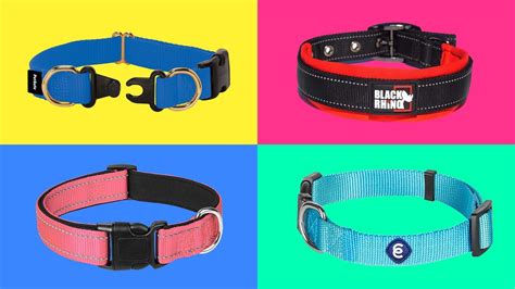 Best Dog Collars 2023 Forbes Vetted