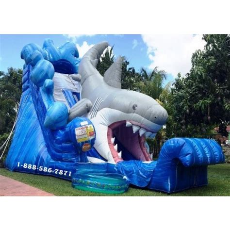 Shark Inflatable Slide Rentals In Miami Fort Lauderdale Boca Raton