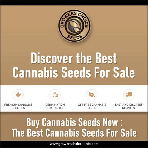 Australia Cannabis Laws Aussie Canna Seeds
