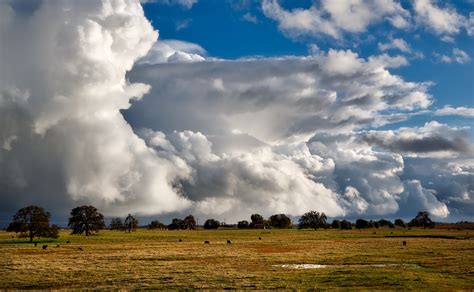 Free Images Landscape Nature Grass Horizon Cloud Sky Field