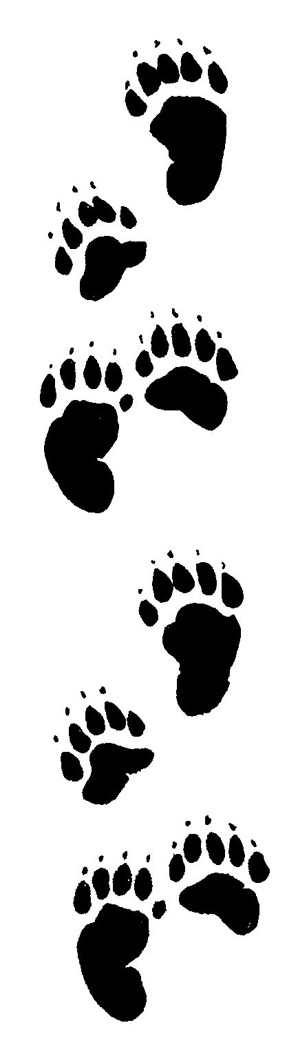 Clip Art Polar Bear Tracks Bear Paw Clipart Clipart Suggest Diana