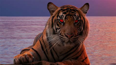 Tiger Glowing Red Eyes 4k