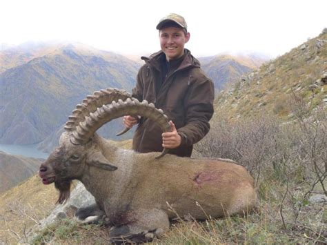 Altai Siberian Ibex Hunts Trophy Ibex Hunting In Russia