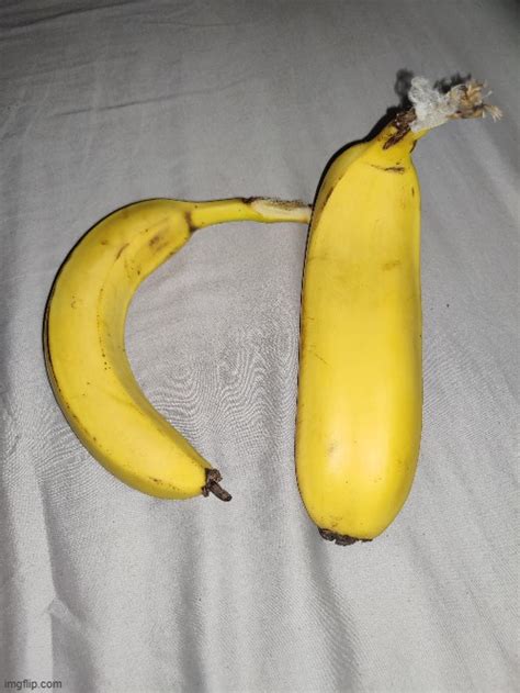 Fat Banana Imgflip