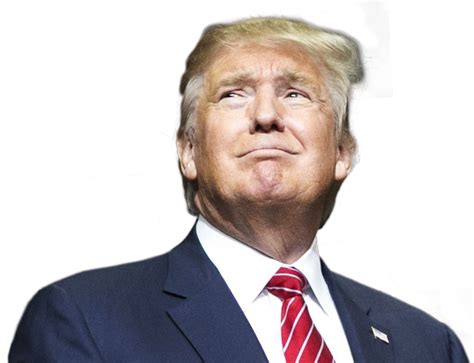 Donald Trump Png Transparent Image Download Size 584x448px