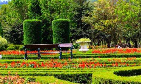 wisata taman bunga nusantara bogor yang wajib dikunjungi