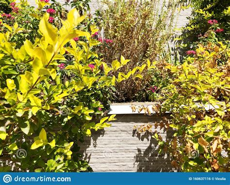 Over 54,174 round bed pictures to choose from, with no signup needed. Round Flower Bed With Colorful Decorative Flowers And ...