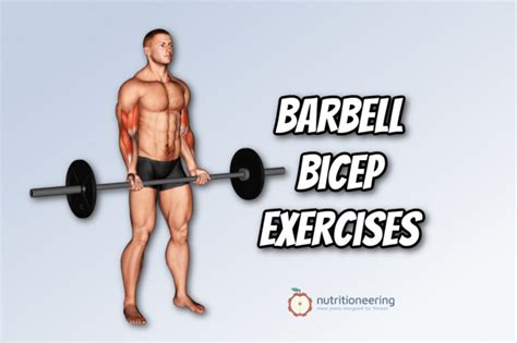 Best Barbell Bicep Exercises For Arm Size And Strength