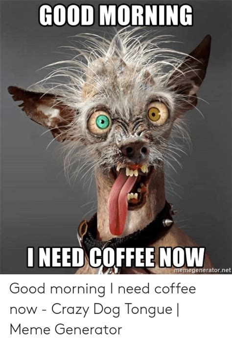 I Need Coffee Meme Coffee Meme Meme Research