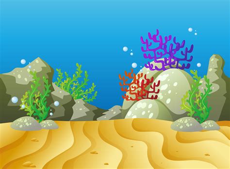 Underwater Sea Animals Drawing With Colour ~ Sea Drawings Creature