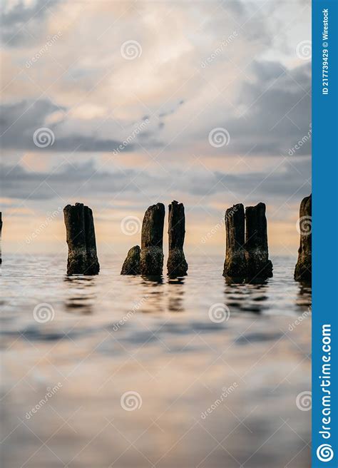Vertical Shot Of Wooden Wave Breakers On A Coast Of The Baltic Sea