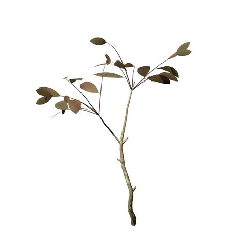 Poison Sumac Seedling Speedtree