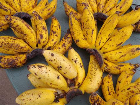Bananen Of Bacoven Suriname Bananen Eiland