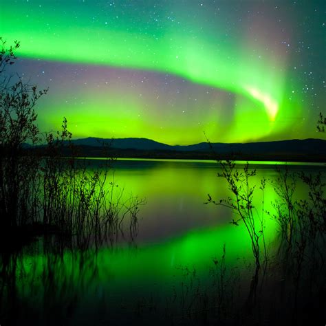 Free Download Green Northern Lights In Canada Eye Catching View Of