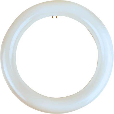 While the bulbs do not need to have constant power, if the bulb does lose any power for a long duration of time, it might need a soft reset. Meridian 22-Watt Equivalent Cool White T9 Circline Non ...