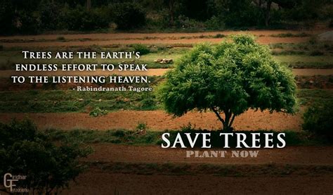 Save Trees A Photo On Flickriver