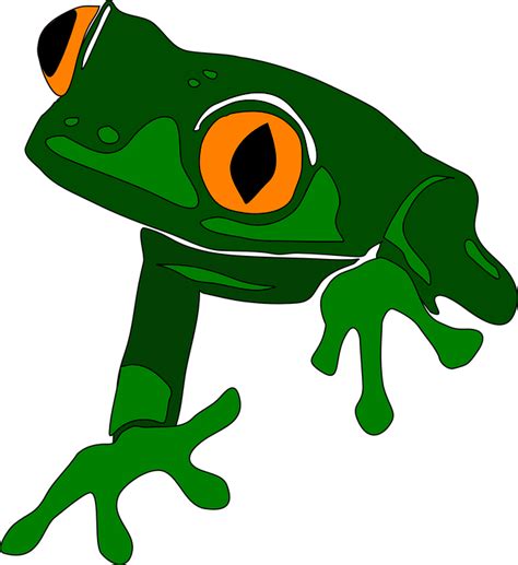 Falafel Telegram Sticker Tree Frog Png Clipart Amphibian Cartoon