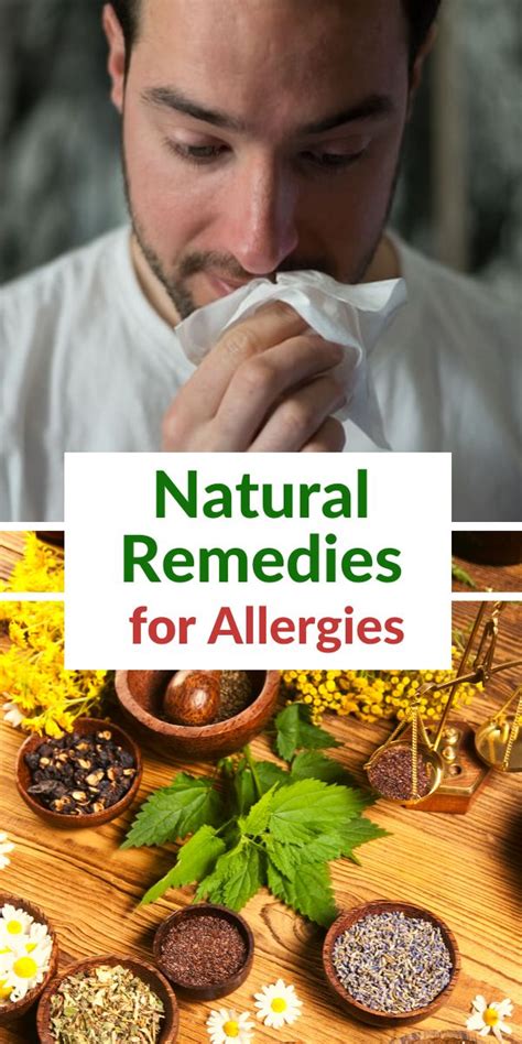 Best Natural Remedies For Allergy Best Herbal Tea Natural Remedies