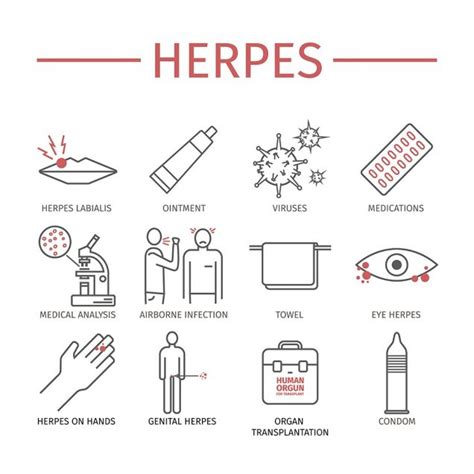 Herpes Herpes Simplex Symptoms Treatment Std Herpes