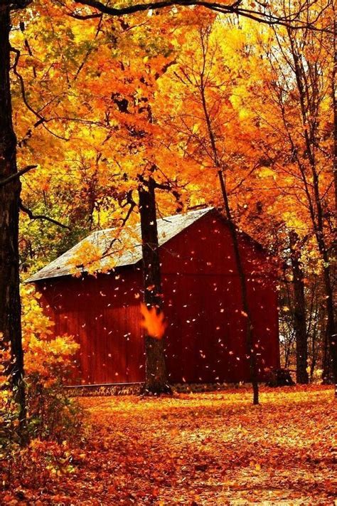 Timeline Photos Country Living Made Beautiful Facebook Autumn