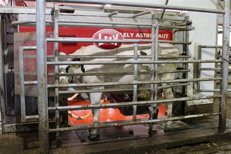 Robotic Milking A Clear Advantage At Barnes Black And White Farm