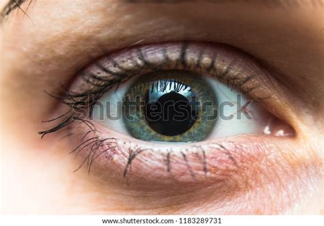 Macro Photo Wideopen One Human Eye Stock Photo Shutterstock