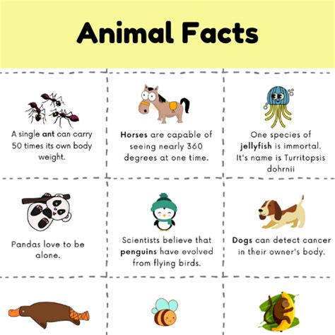 Fun Facts About Animals For Kids Free Animal Facts Printable