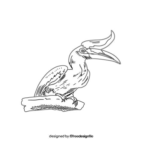 Rhinoceros Hornbill Bird Black And White Clipart Free Download