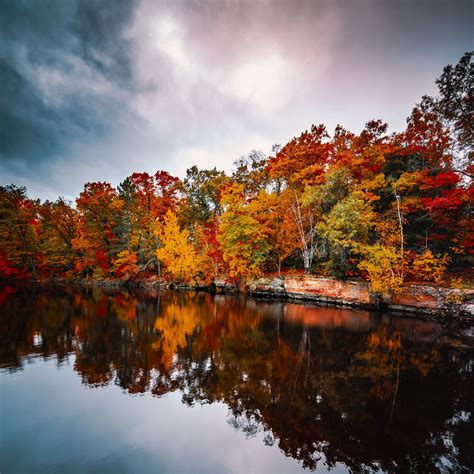 Download Wallpaper 2780x2780 Trees Autumn Lake Reflection Autumn