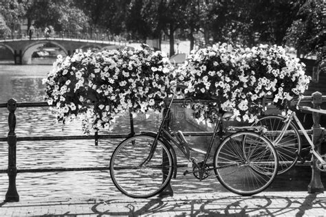 Amsterdam Flower Bike Bw Stock Photo Image Of Cityscape 80803208
