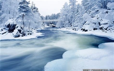 Free Download Winter Landscape Wallpapers 2560x1600 For Your