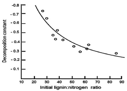 Relationship Between The Decomposition Constant And The Lignin