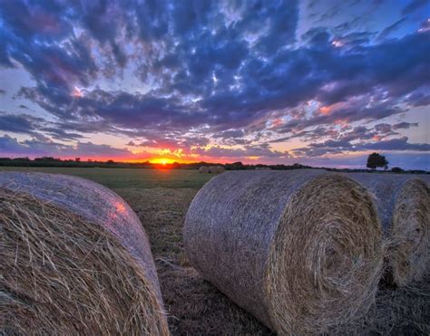 Hay Bales At Sunset Free Image Peakpx