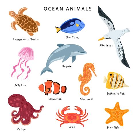 Premium Vector Set Of Ocean Animal Illustration Ocean Animals Poster