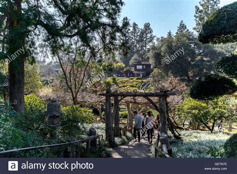 Japanese Gardens At The Huntington Library Art Collections And