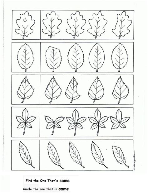 Leaves Worksheet Leaf Parts Kindergarten Science Leaves Label Grade
