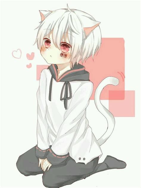 Mèomiêu Kawaii Anime Cat Boy Cute Anime Chibi Anime Chibi