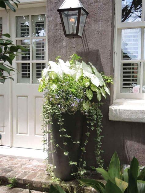 Check spelling or type a new query. Gorgeous Outdoor Plants Ideas For Your Front Door ...