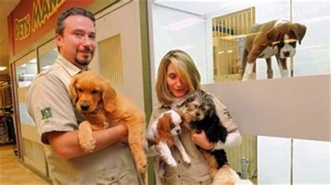 Petland carriage place is a local pet store that has been operating for over 40 years in columbus, ohio. Petland to sell animals from shelters | Pittsburgh Post ...