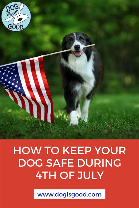 How To Keep Your Dog Calm On The 4th Of July Dog Is Good Dogs Calm