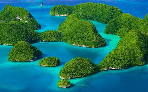 Rock Islands Southern Lagoon Koror Palau Review Tripadvisor