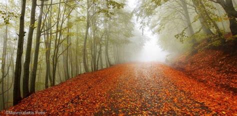 60 Breathtaking Fall Pictures The Photo Argus