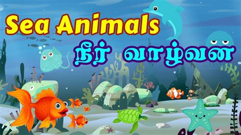 Learn Sea Animals For Kids Water Ocean Animals Names