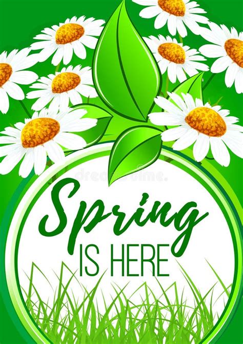 Spring Is Here Flower Frame Border Design Stock Vector Illustration