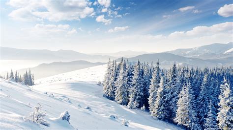 Wallpaper Mountains Forest Trees Snow Winter 4k Nature 17144