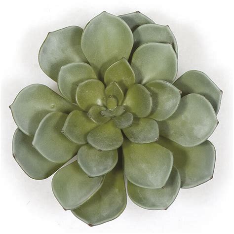 Earthflora Artificial Cactus Succulent Collection 8 X 7 Plastic